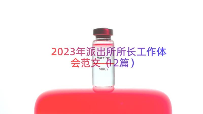 2023年派出所所长工作体会范文（12篇）