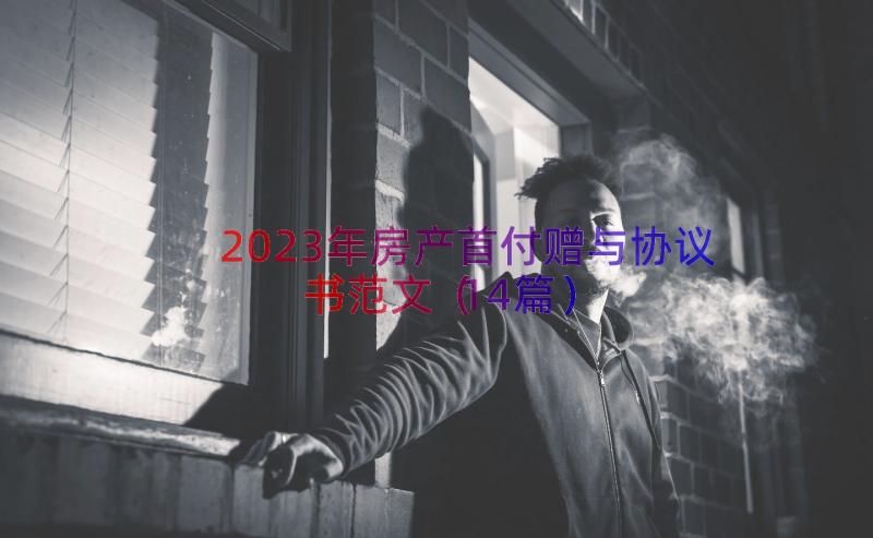 2023年房产首付赠与协议书范文（14篇）