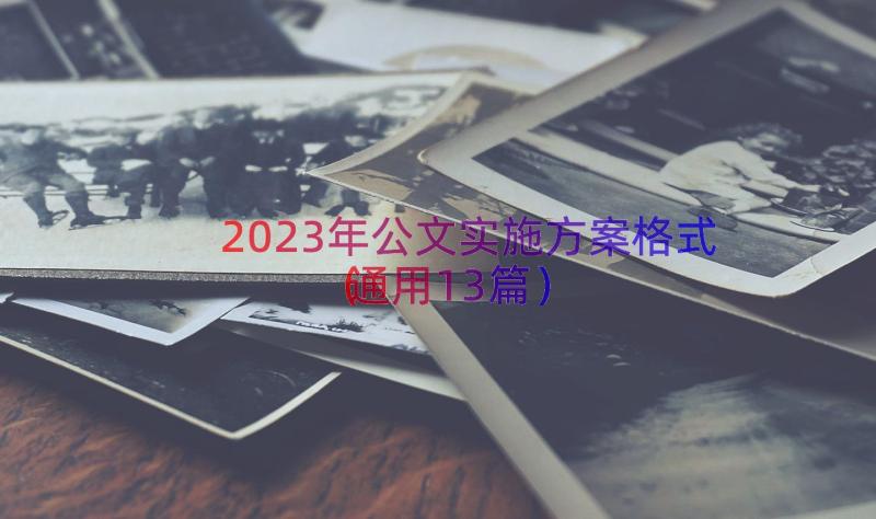 2023年公文实施方案格式（通用13篇）