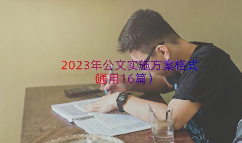 2023年公文实施方案格式（通用16篇）