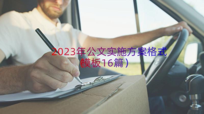 2023年公文实施方案格式（模板16篇）