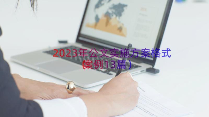 2023年公文实施方案格式（案例13篇）