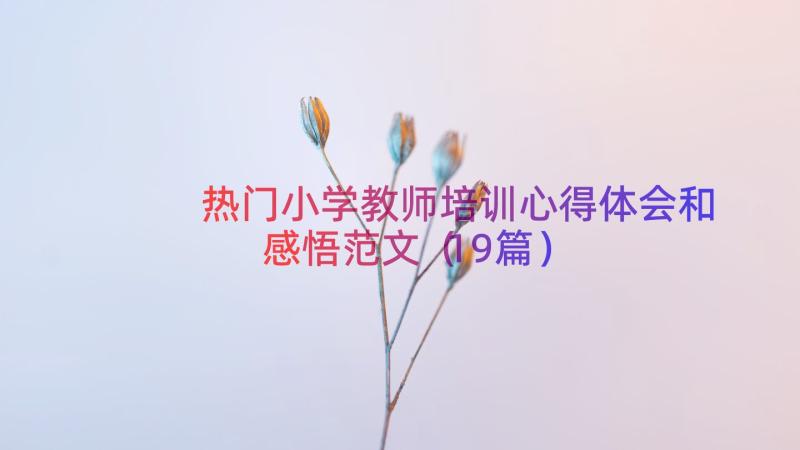 热门小学教师培训心得体会和感悟范文（19篇）