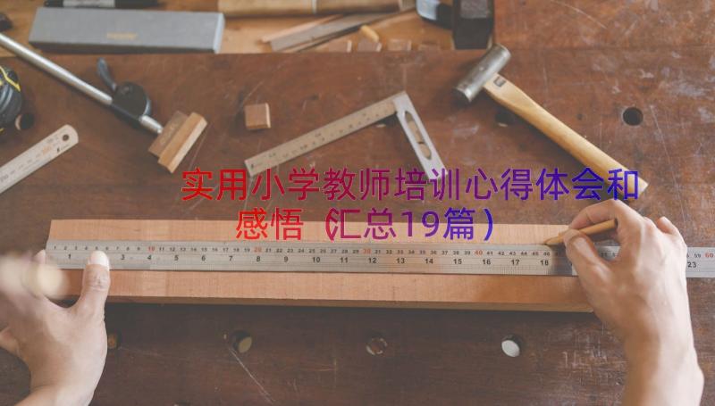 实用小学教师培训心得体会和感悟（汇总19篇）