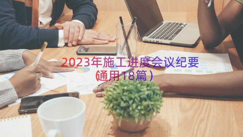 2023年施工进度会议纪要（通用18篇）