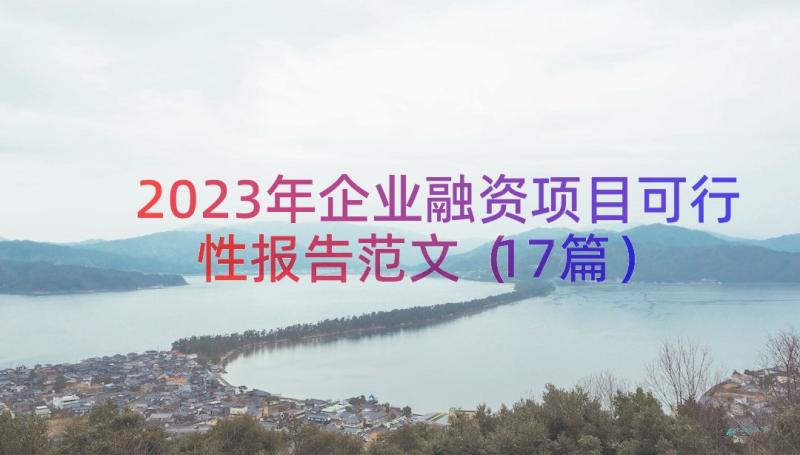 2023年企业融资项目可行性报告范文（17篇）