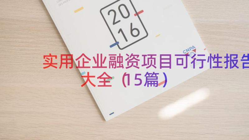 实用企业融资项目可行性报告大全（15篇）