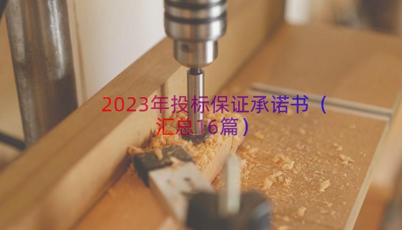 2023年投标保证承诺书（汇总16篇）