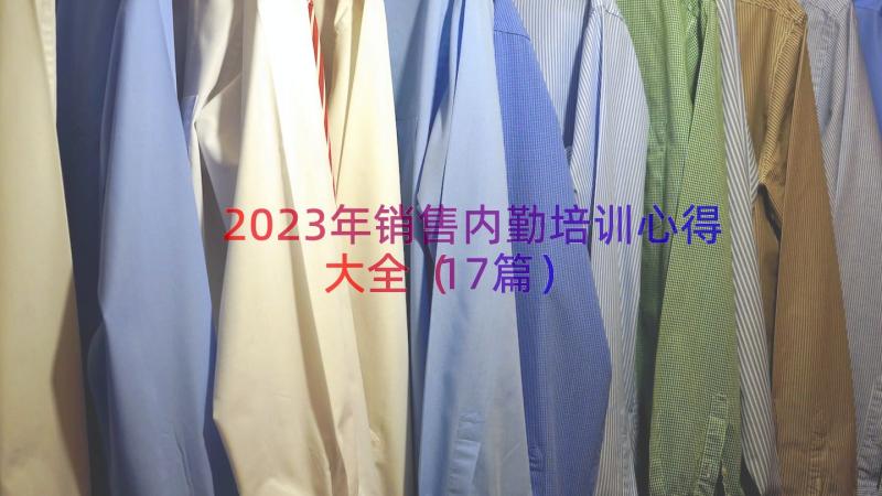 2023年销售内勤培训心得大全（17篇）