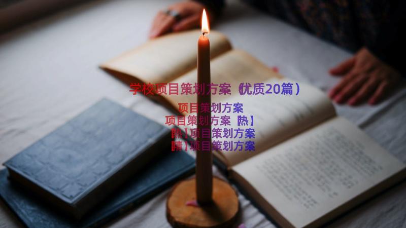 学校项目策划方案（优质20篇）