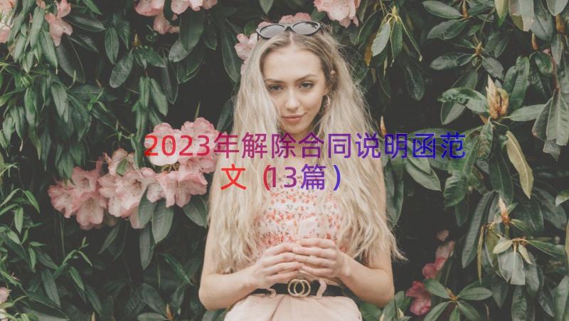 2023年解除合同说明函范文（13篇）