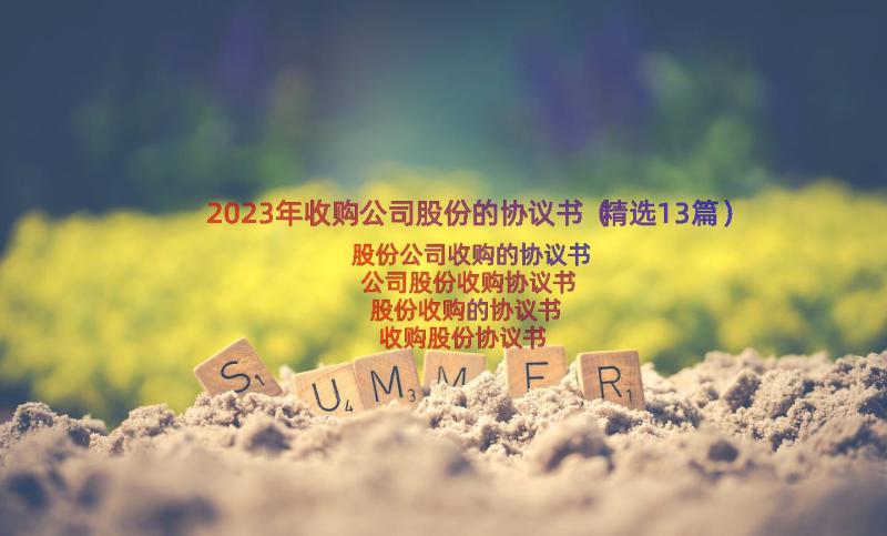 2023年收购公司股份的协议书（精选13篇）