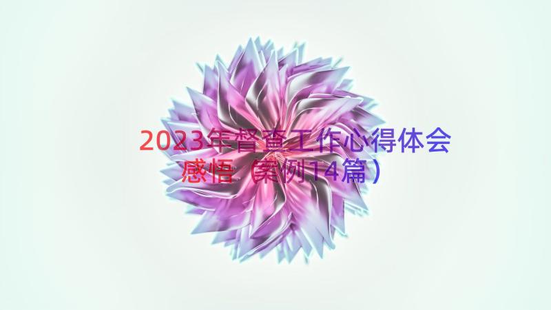 2023年督查工作心得体会感悟（案例14篇）