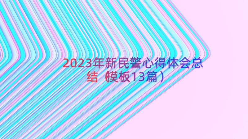 2023年新民警心得体会总结（模板13篇）