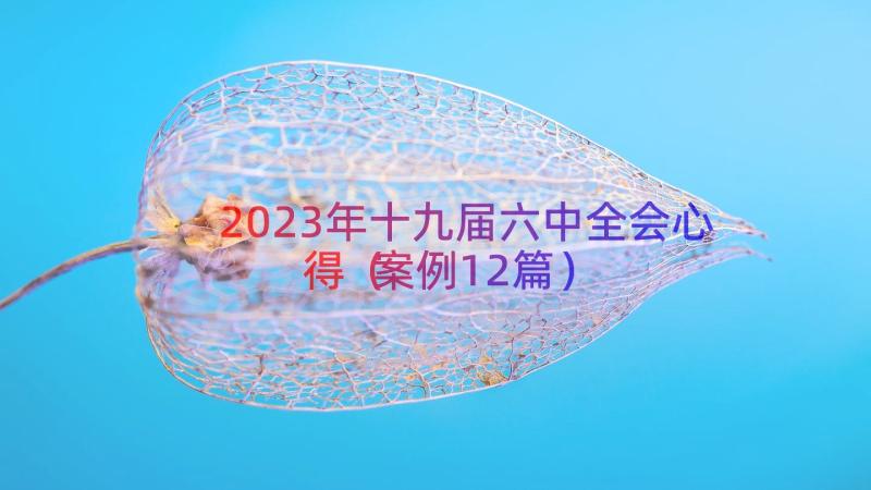 2023年十九届六中全会心得（案例12篇）