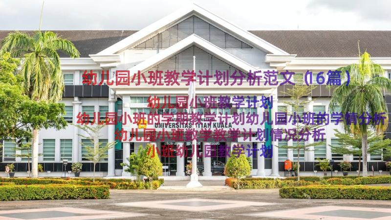 幼儿园小班教学计划分析范文（16篇）