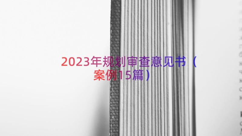 2023年规划审查意见书（案例15篇）