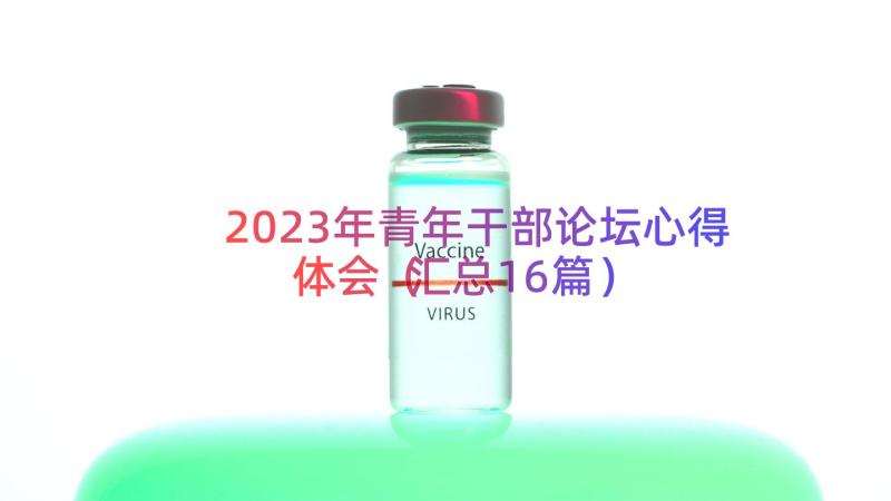 2023年青年干部论坛心得体会（汇总16篇）