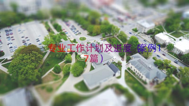 专业工作计划及进度（案例17篇）