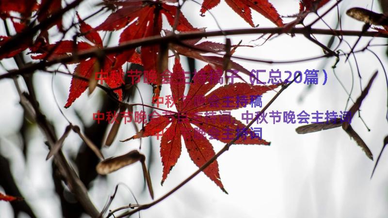 中秋节晚会主持稿子（汇总20篇）