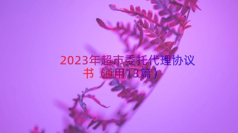 2023年超市委托代理协议书（通用13篇）