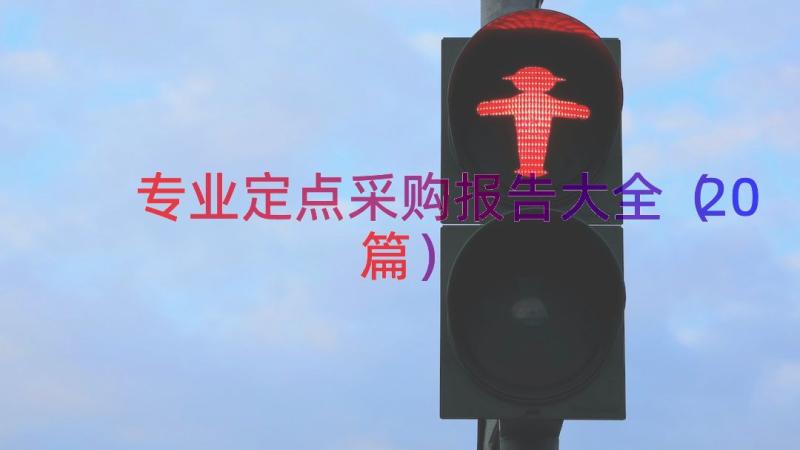 专业定点采购报告大全（20篇）