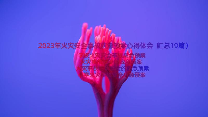 2023年火灾安全事故应急预案心得体会（汇总19篇）