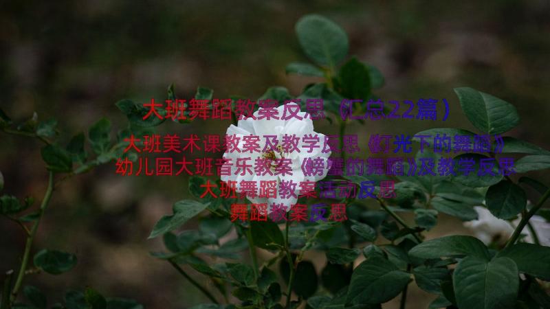 大班舞蹈教案反思（汇总22篇）