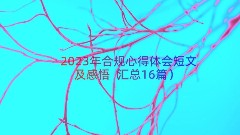 2023年合规心得体会短文及感悟（汇总16篇）