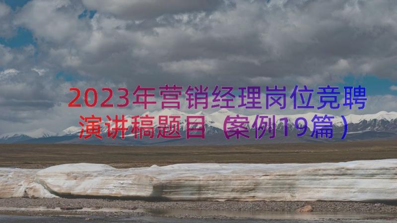 2023年营销经理岗位竞聘演讲稿题目（案例19篇）