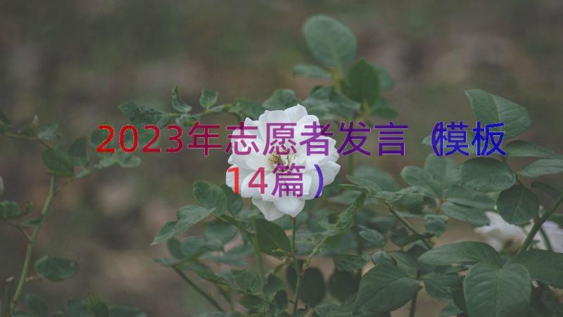 2023年志愿者发言（模板14篇）