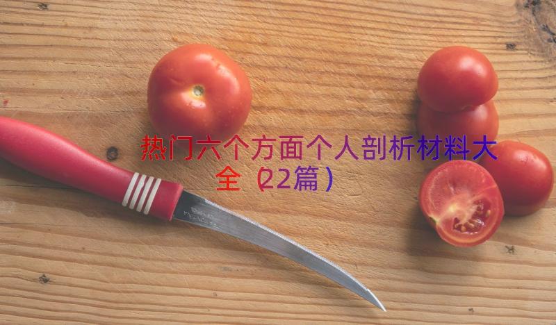 热门六个方面个人剖析材料大全（22篇）