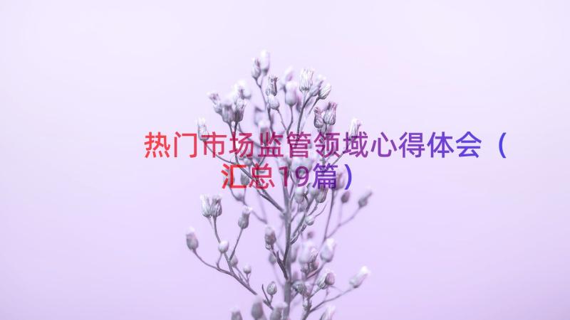 热门市场监管领域心得体会汇总