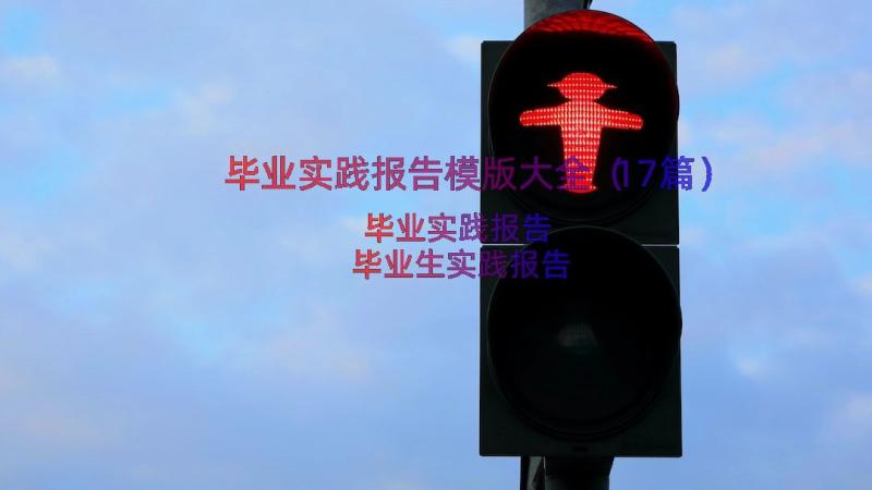 毕业实践报告模版大全（17篇）