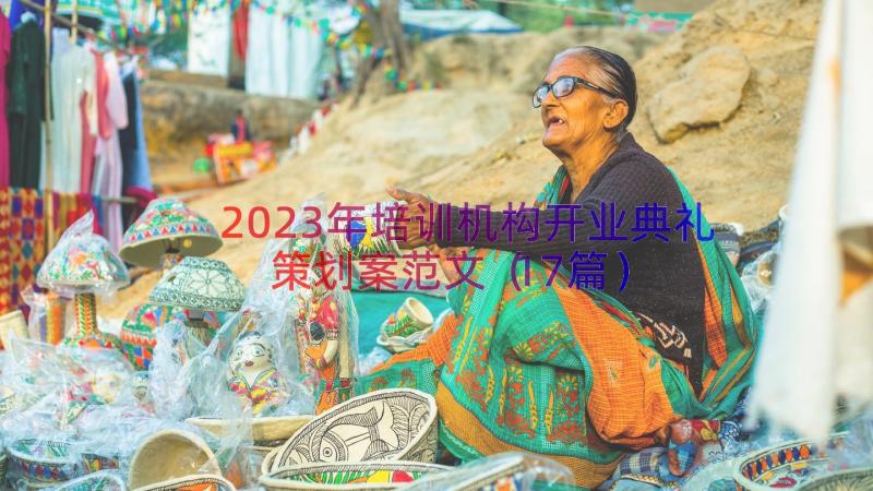 2023年培训机构开业典礼策划案范文（17篇）