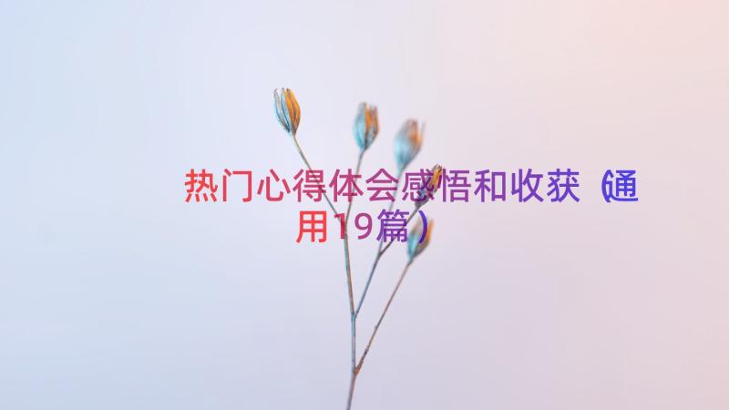 热门心得体会感悟和收获（通用19篇）