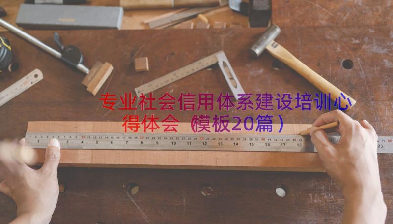 专业社会信用体系建设培训心得体会（模板20篇）