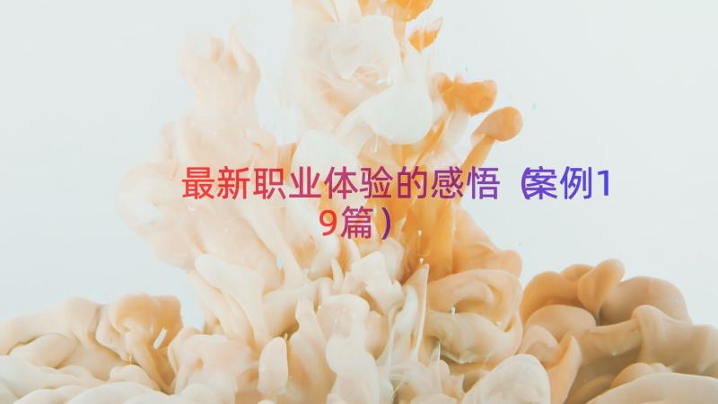 最新职业体验的感悟（案例19篇）