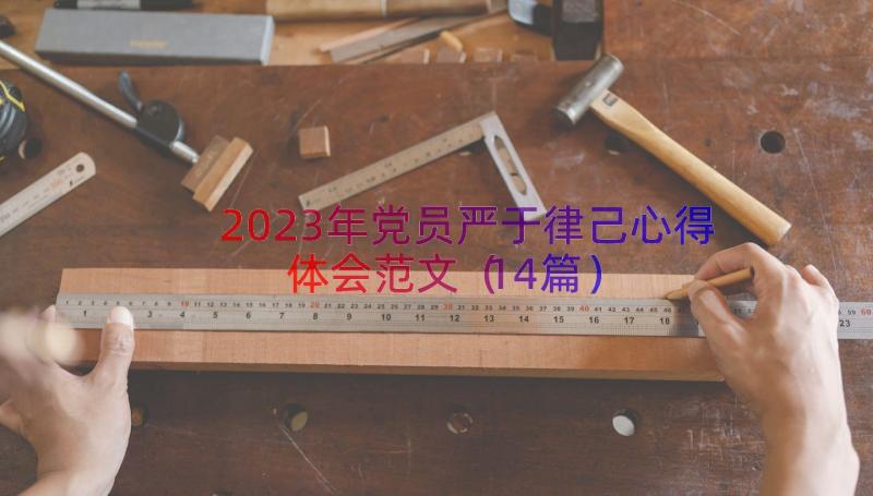 2023年党员严于律己心得体会范文（14篇）