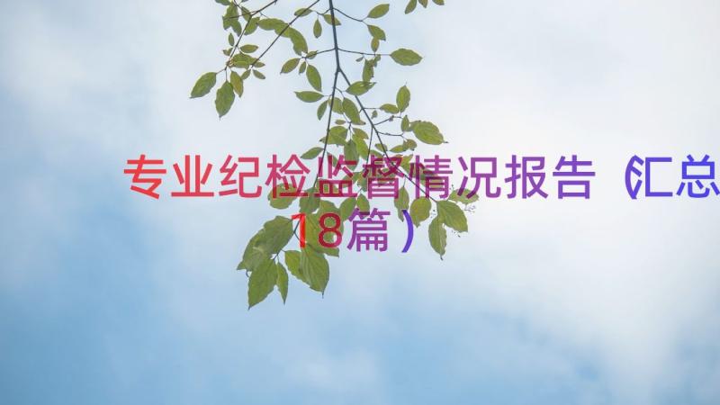 专业纪检监督情况报告（汇总18篇）