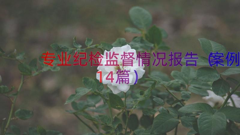 专业纪检监督情况报告（案例14篇）