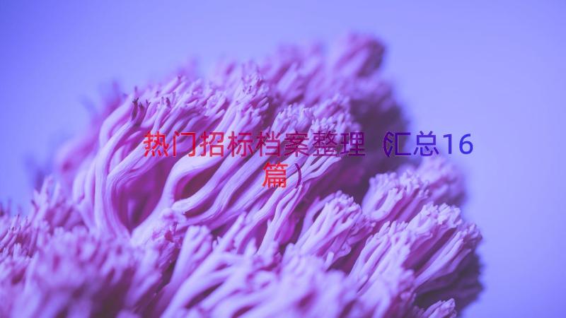 热门招标档案整理（汇总16篇）