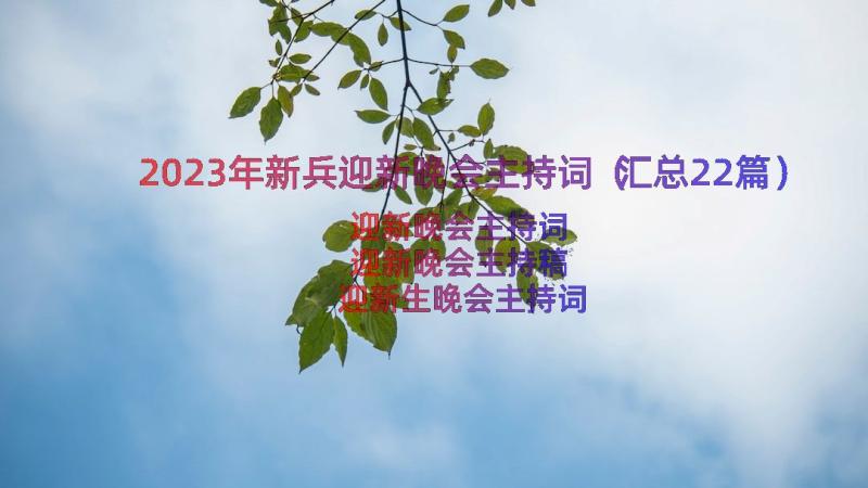 2023年新兵迎新晚会主持词（汇总22篇）