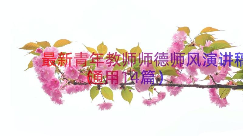 最新青年教师师德师风演讲稿（通用14篇）