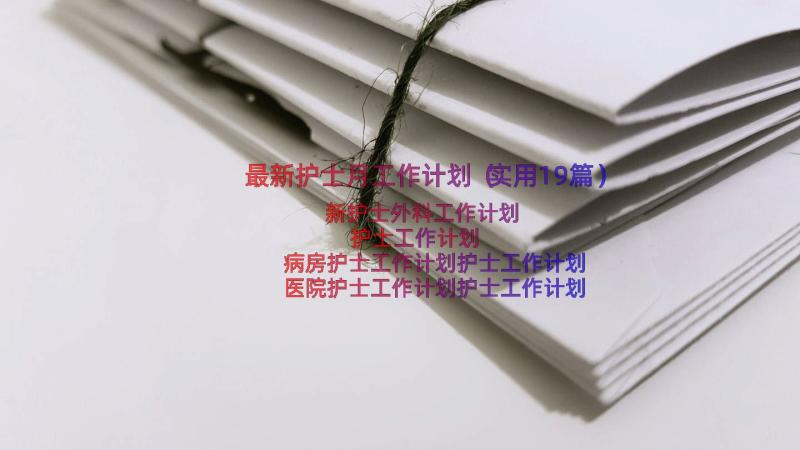 最新护士月工作计划（实用19篇）