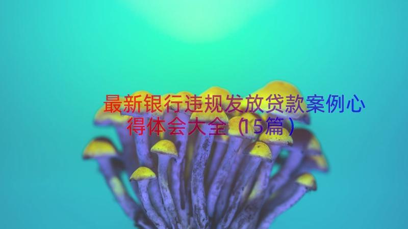 最新银行违规发放贷款案例心得体会大全（15篇）