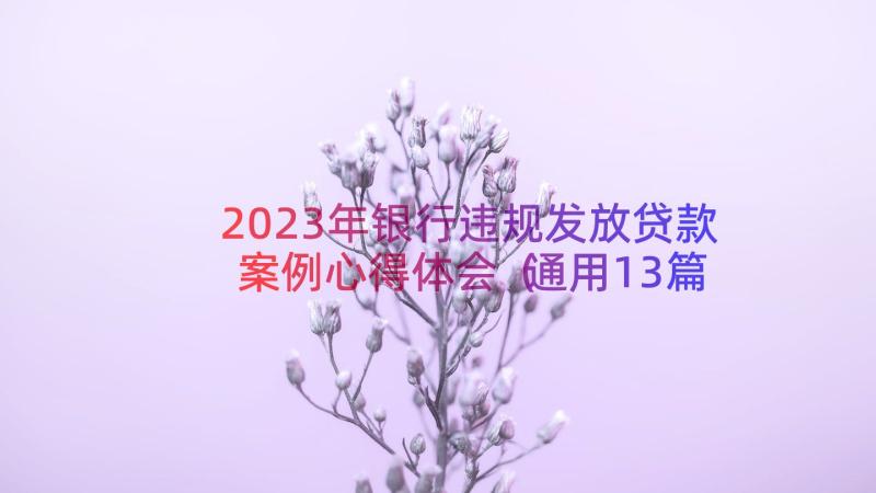 2023年银行违规发放贷款案例心得体会（通用13篇）