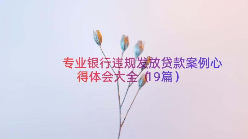 专业银行违规发放贷款案例心得体会大全（19篇）