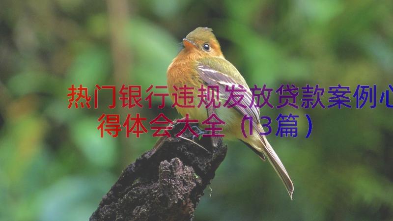 热门银行违规发放贷款案例心得体会大全（13篇）