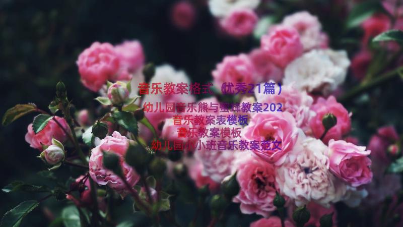 音乐教案格式（优秀21篇）